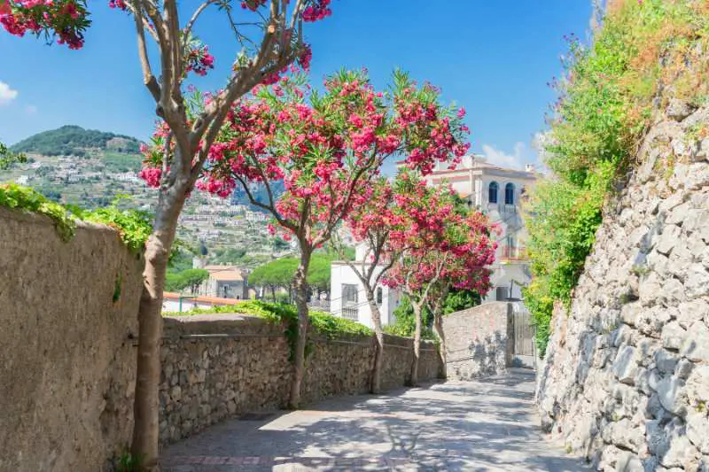 Ravello 