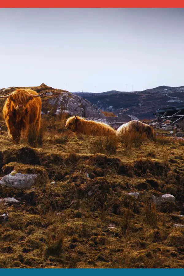 Isle of Harris Scotland