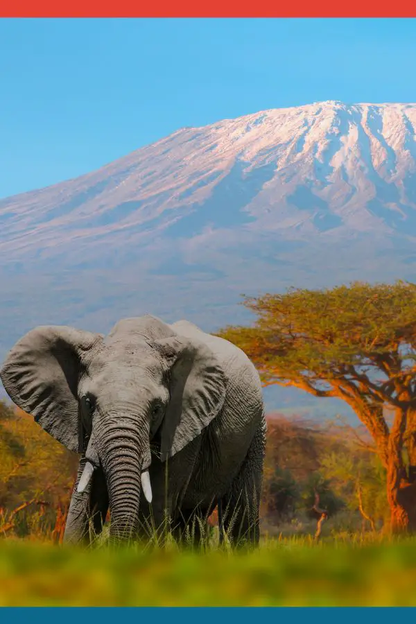 Mount Kilimanjaro, Tanzania