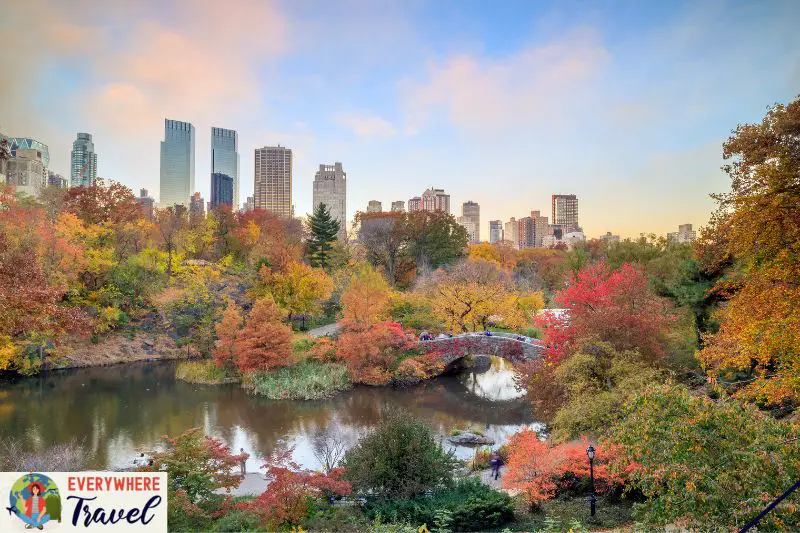 Central Park NYC