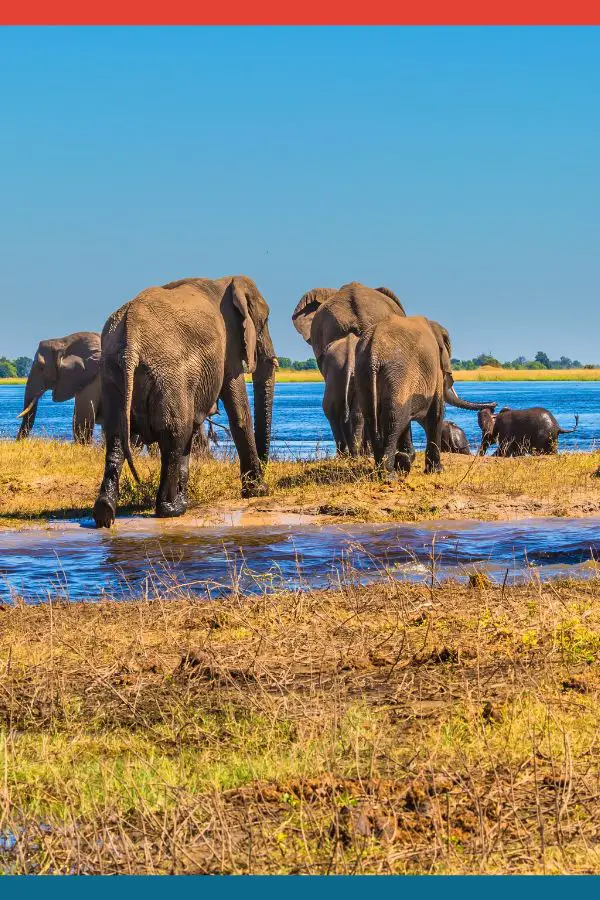 Okavango Delta, Botswana