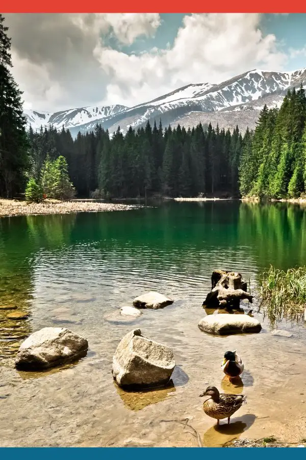 Tatra Slovakia