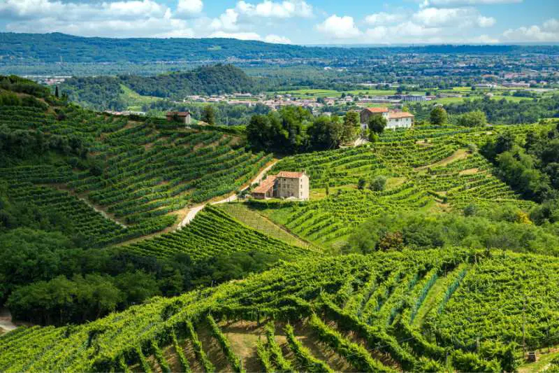 Prosecco Hills of Valdobbiadene