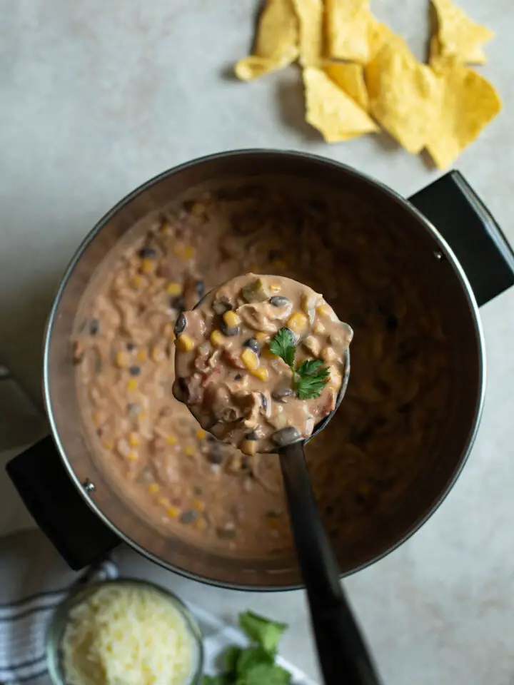 Cheesy Chicken Enchilada Soup