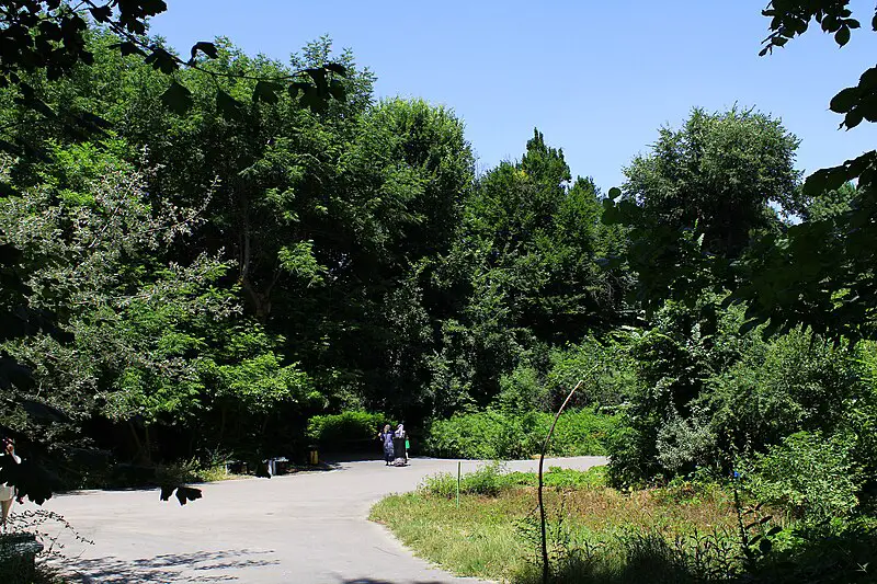 Tashkent Botanical Garden