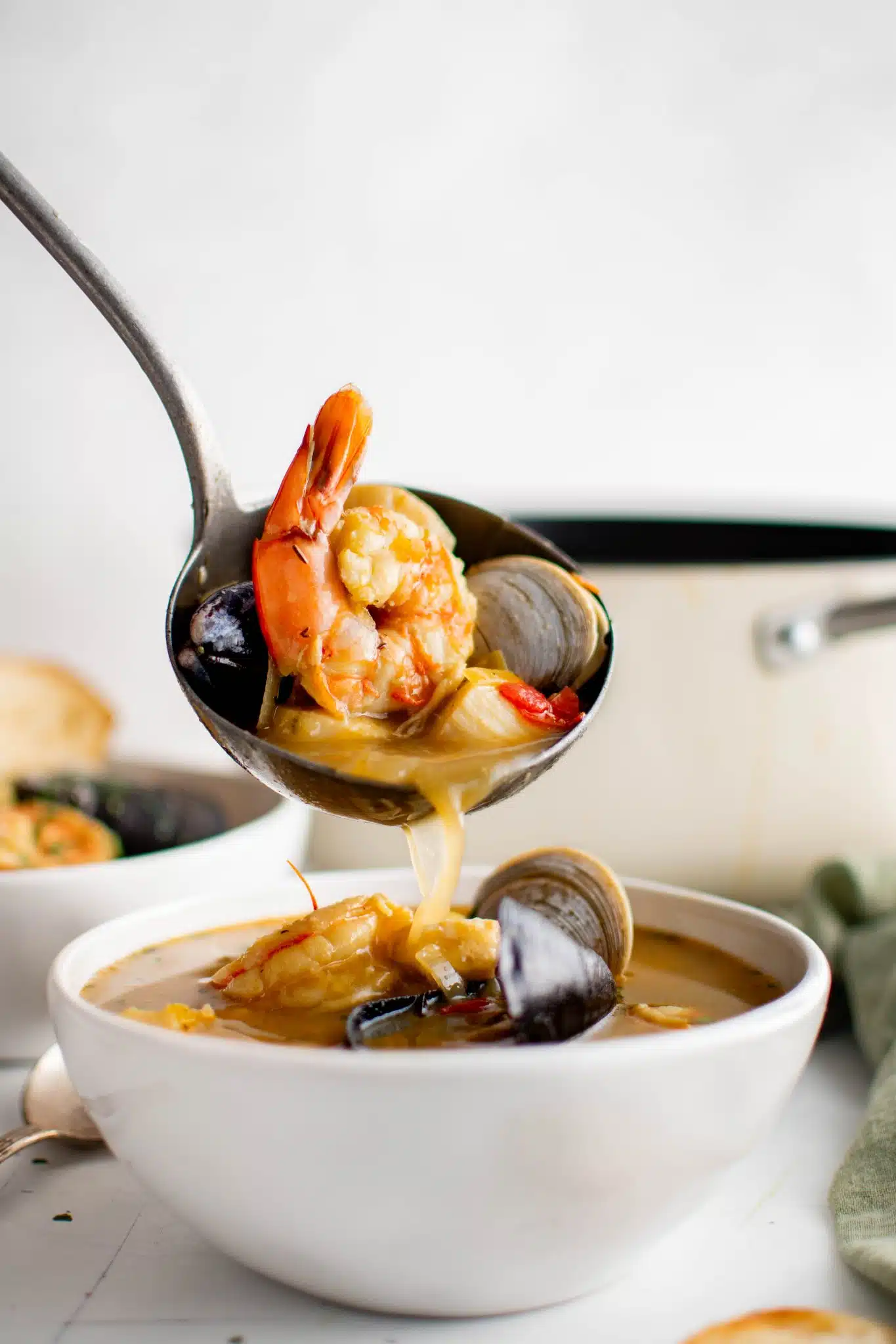 Bouillabaisse 