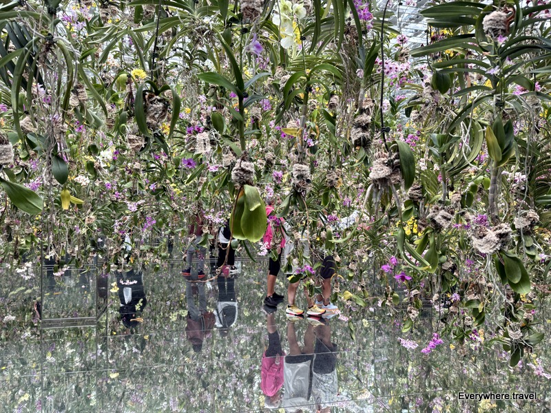 Teamlab Planets