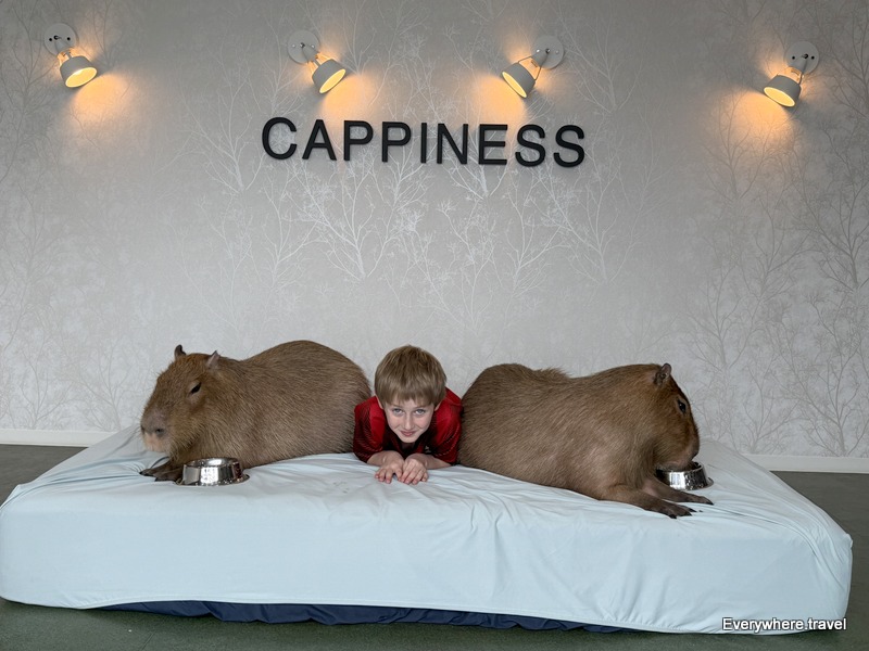 Inside CAPPINESS Oshiage