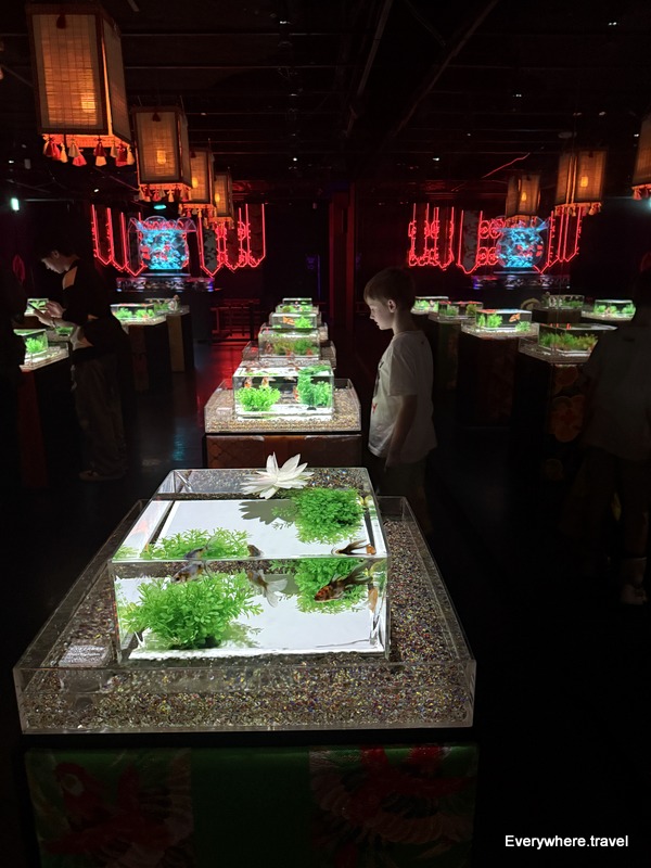 Art Aquarium Tokyo