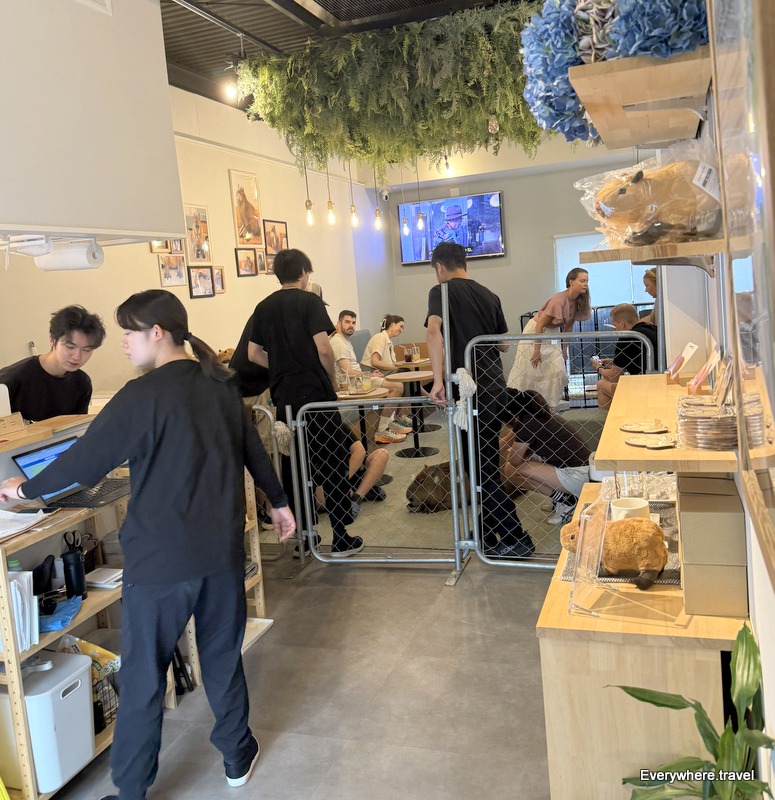 Inside Cafe Capyba Hikifune