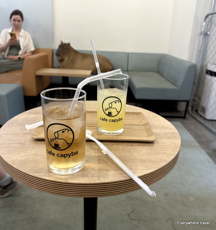 Drinks in Cafe Capyba Hikifune