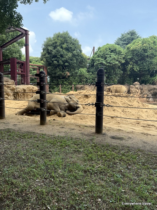 Ueno Zoo Tokyo
