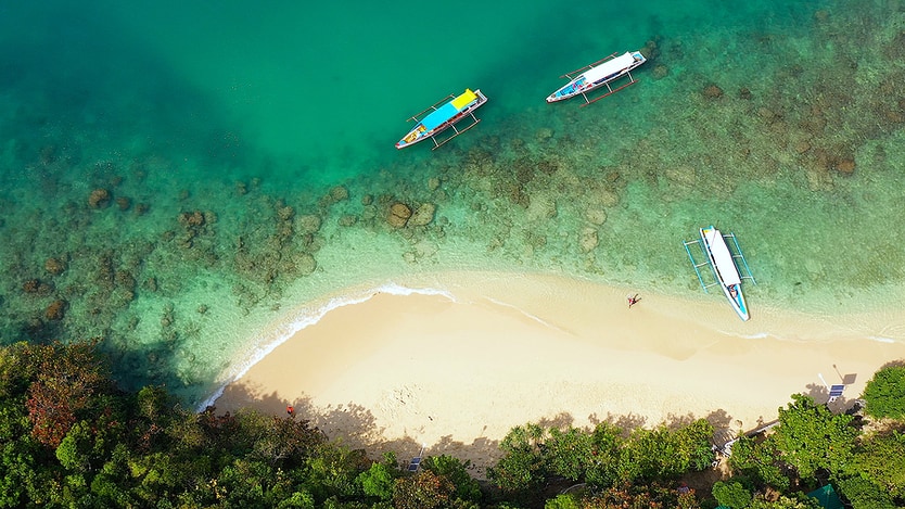 tropical beach