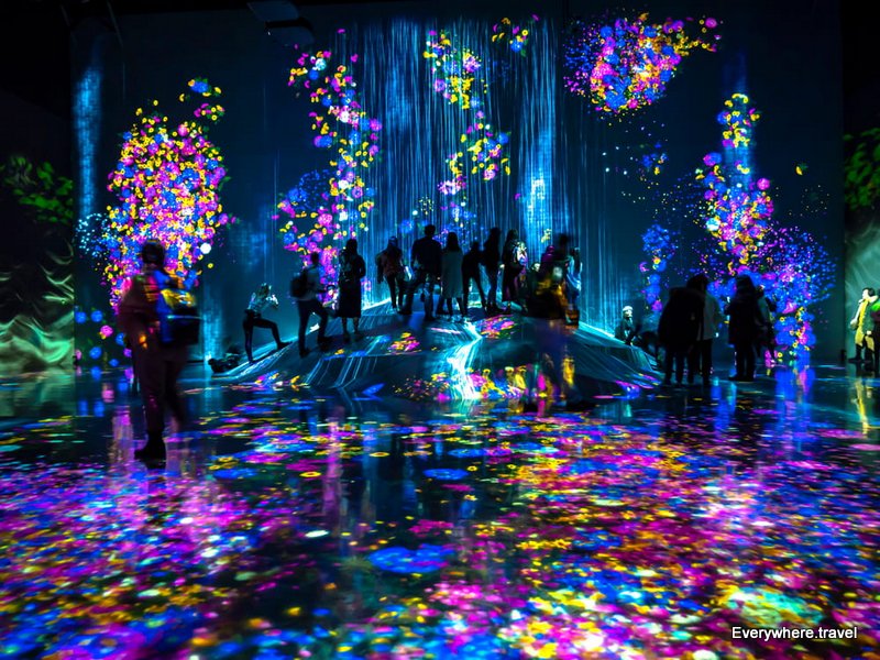 teamlab borderless